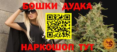 крисы Северобайкальск