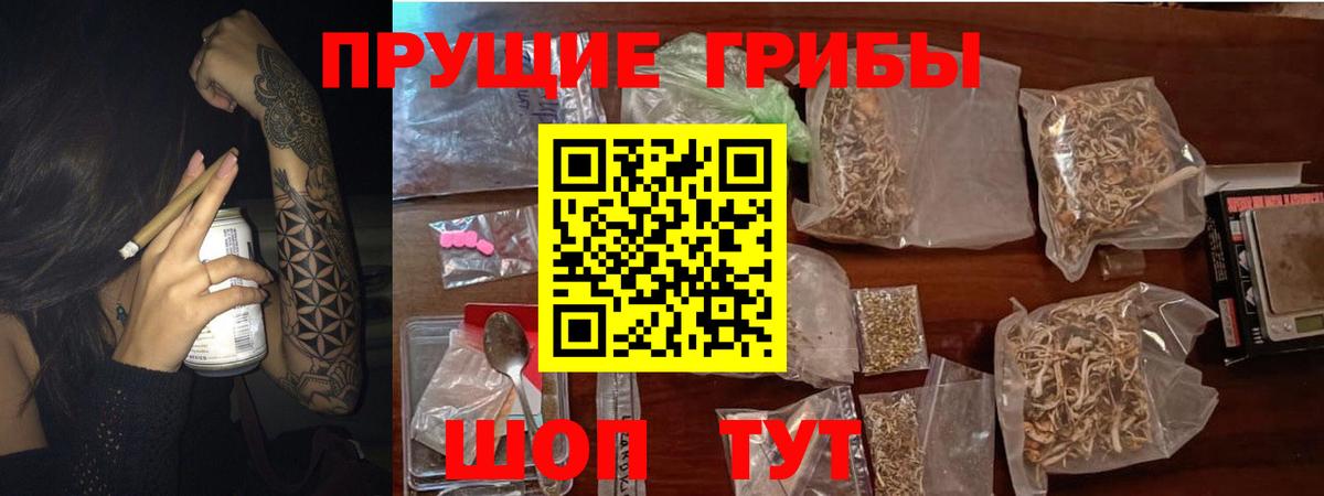 Псилоцибиновые грибы ЛСД  Псилоцибиновые грибы Cubensis  Полевской  Вход с VPN 